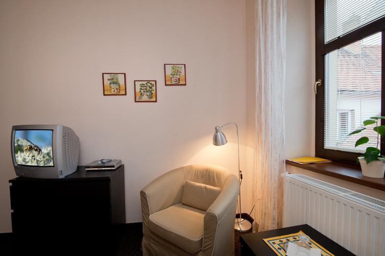 Hotel U Zlateho Byka Písek Dış mekan fotoğraf